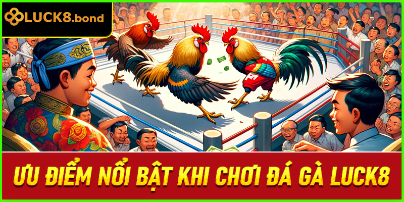Ưu điểm nổi bật khi chơi đá gà LUCK8