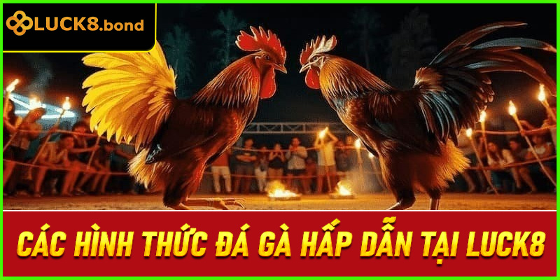 Các hình thức đá gà hấp dẫn tại LUCK8